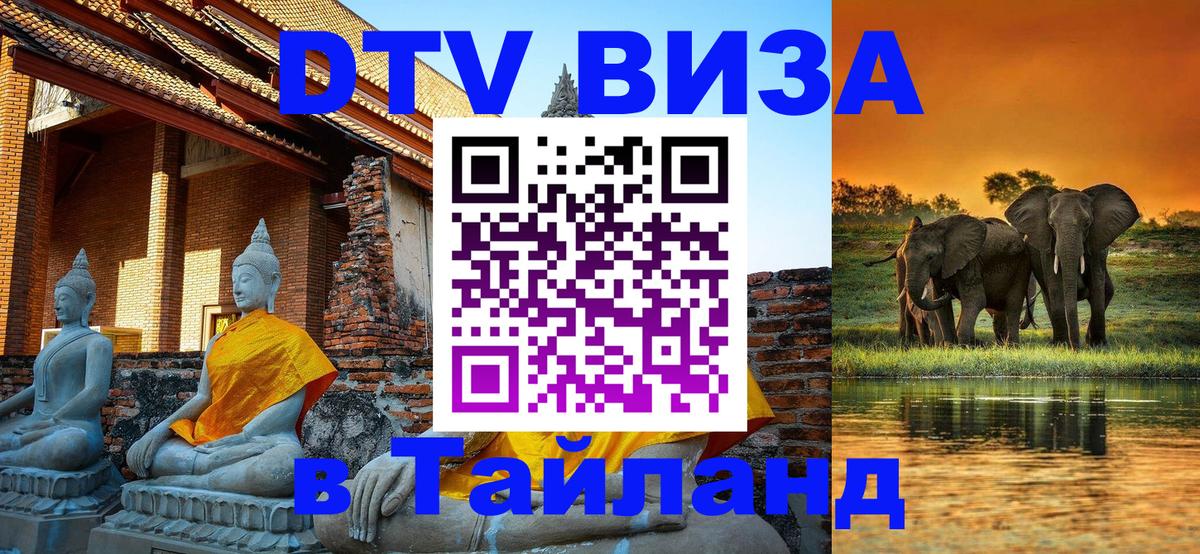 Оформление DTV визы под ключ: стоимость и тарифы, только загранпаспорт - Киев 